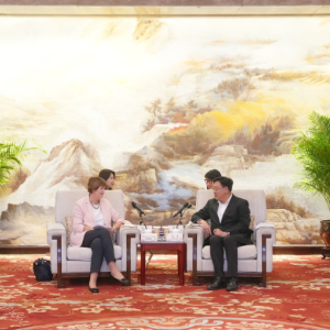 冯飞会见德国汽车工业协会主席穆希雅